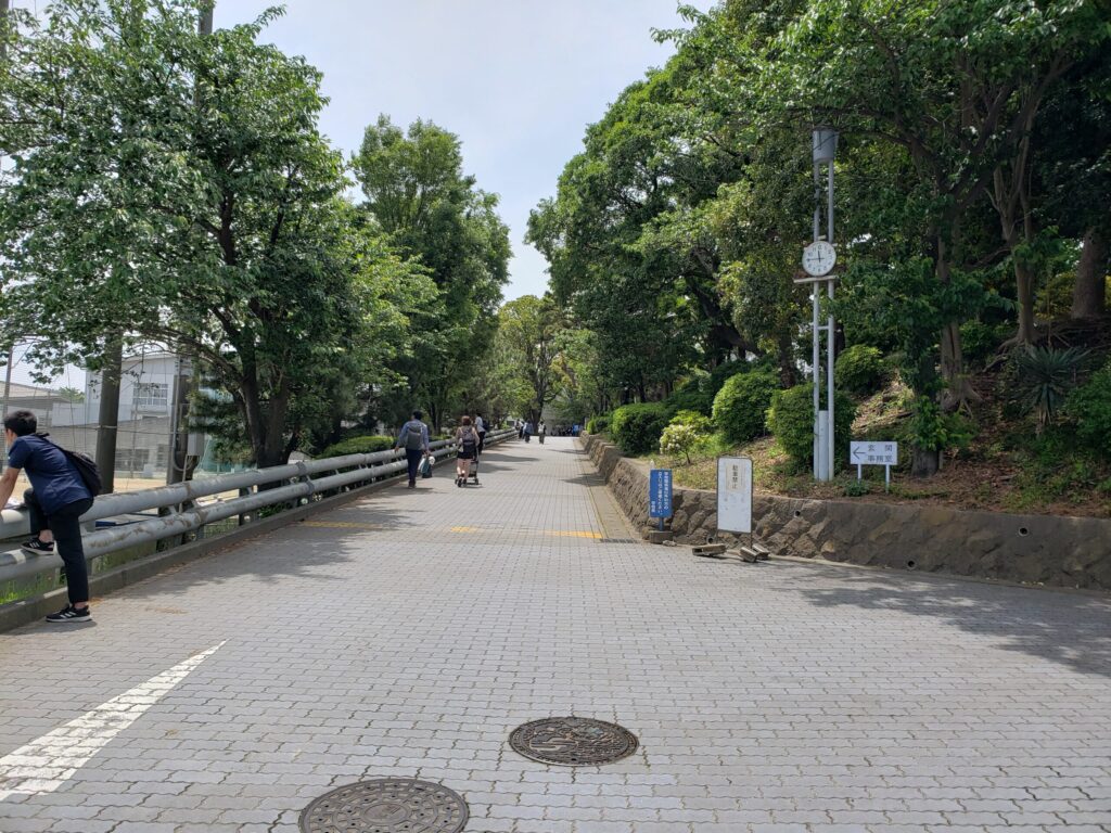 校舎への道