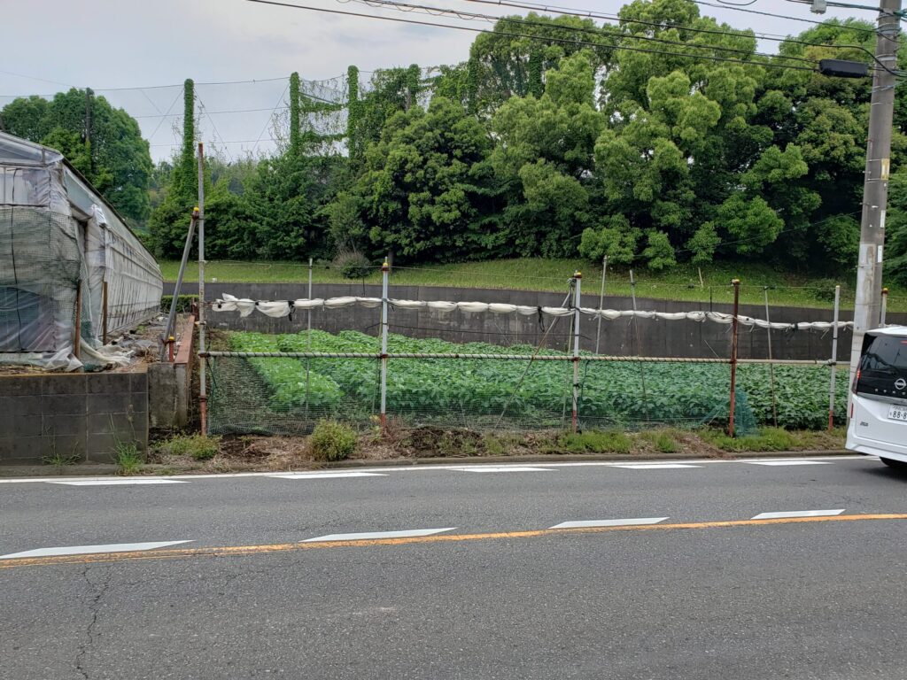 高校近くの畑