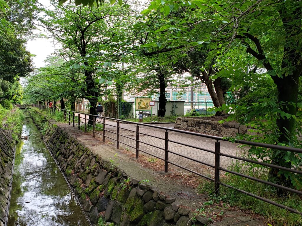 公園を流れる小さな川