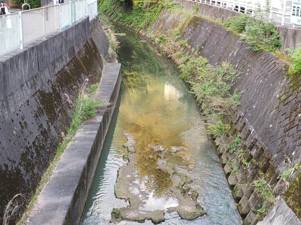 生田駅南口④