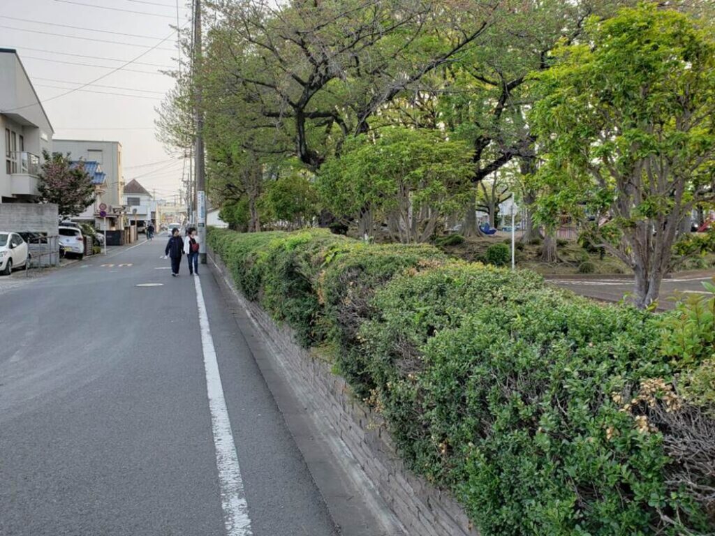 公園近くの道