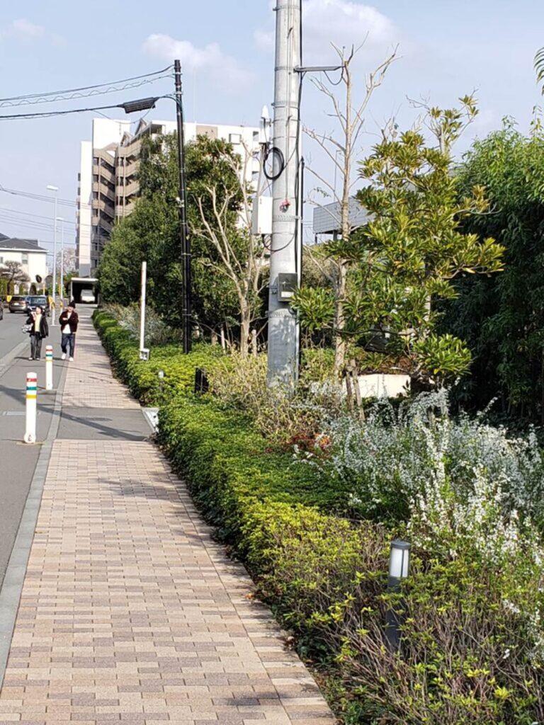 中央林間からの道中