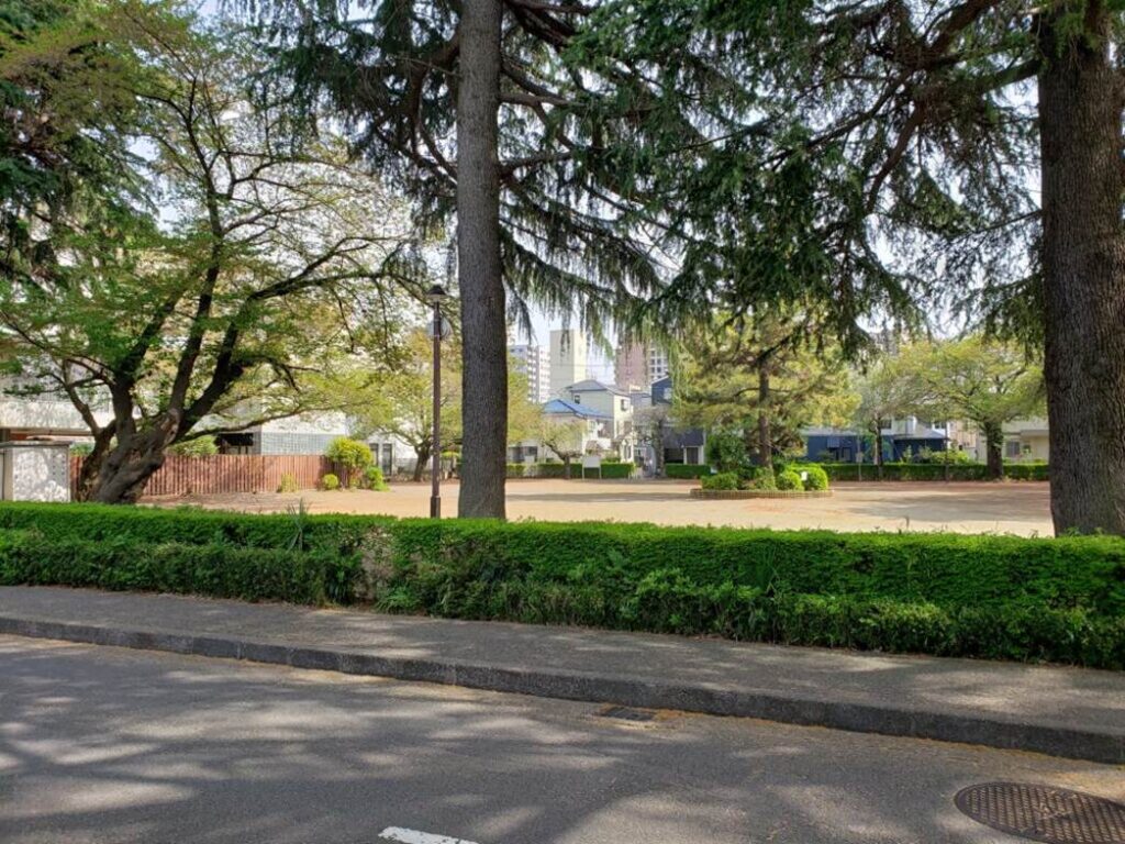 広めの公園