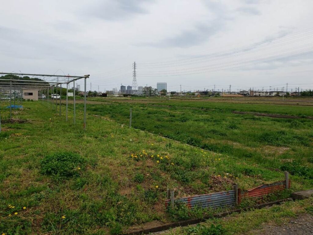 座間高校周辺②