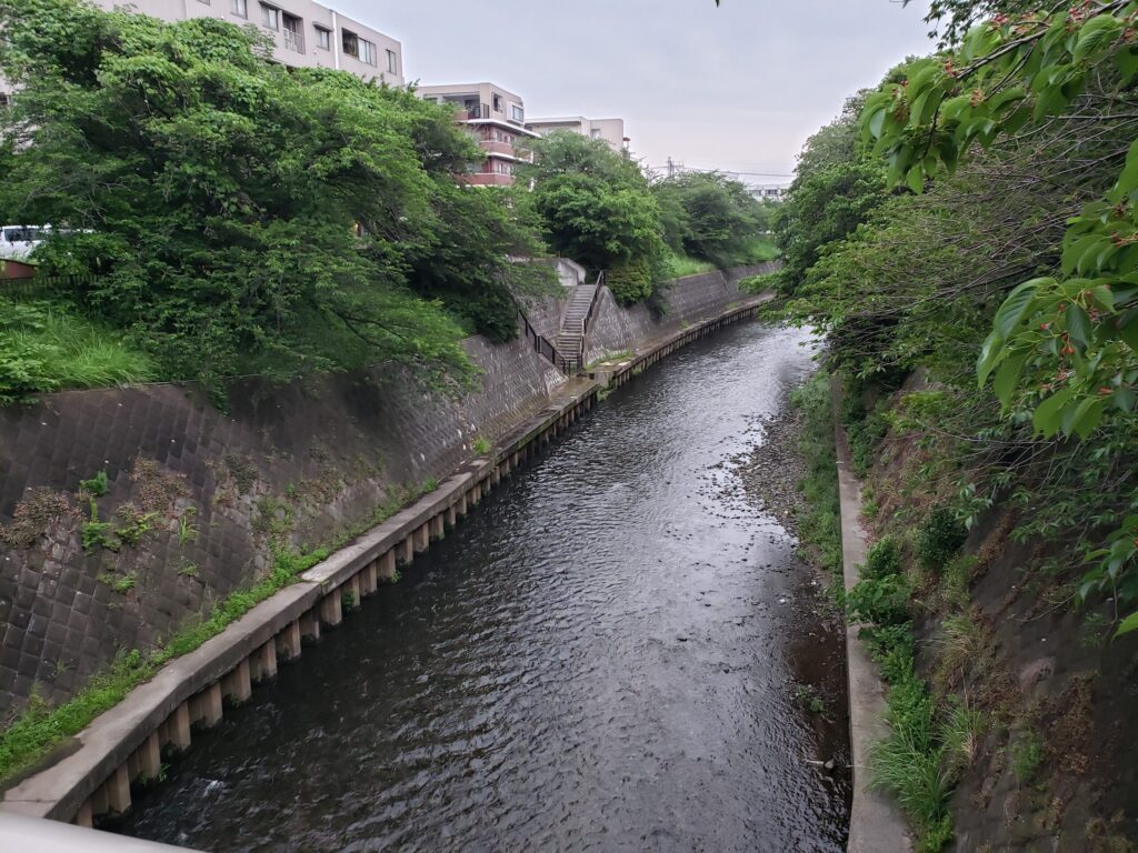 引地川