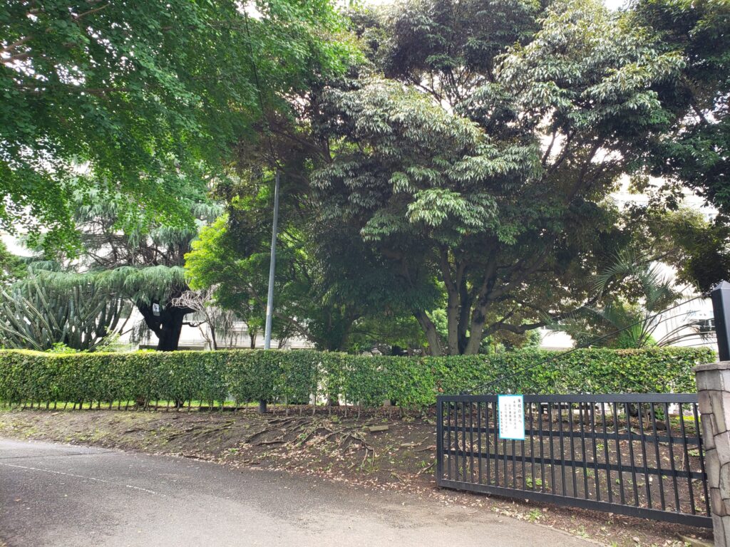 厚木高校外観④