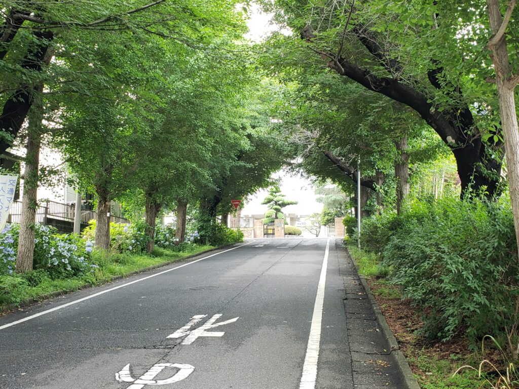 高校前の上り坂