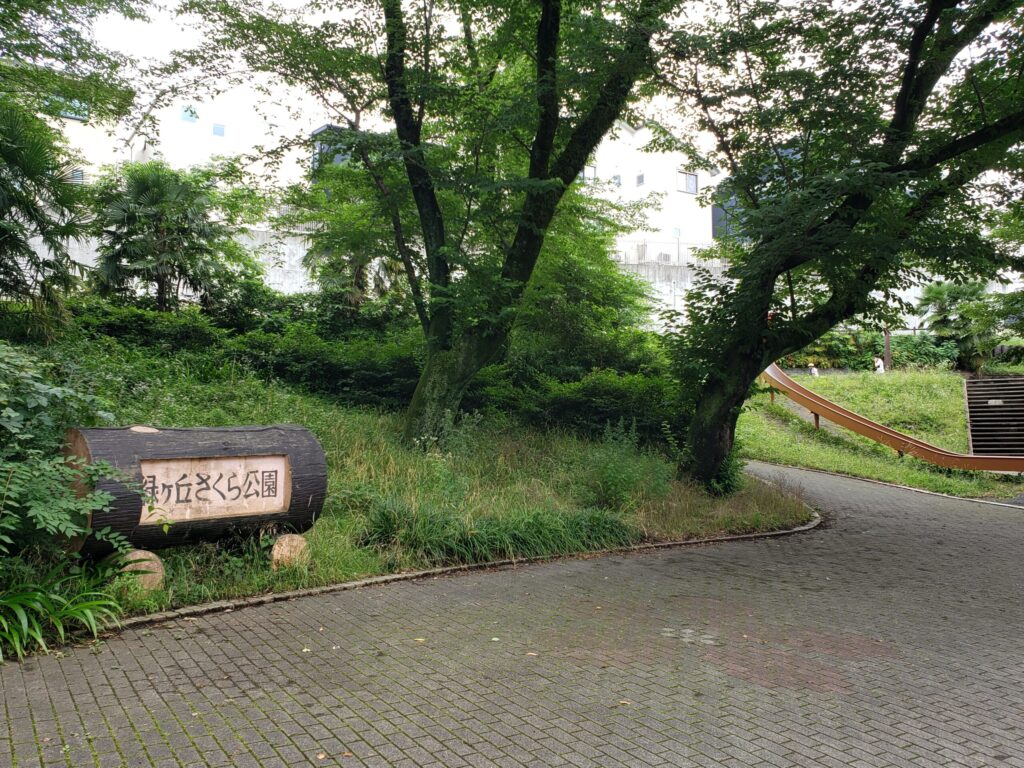 緑ヶ丘さくら公園