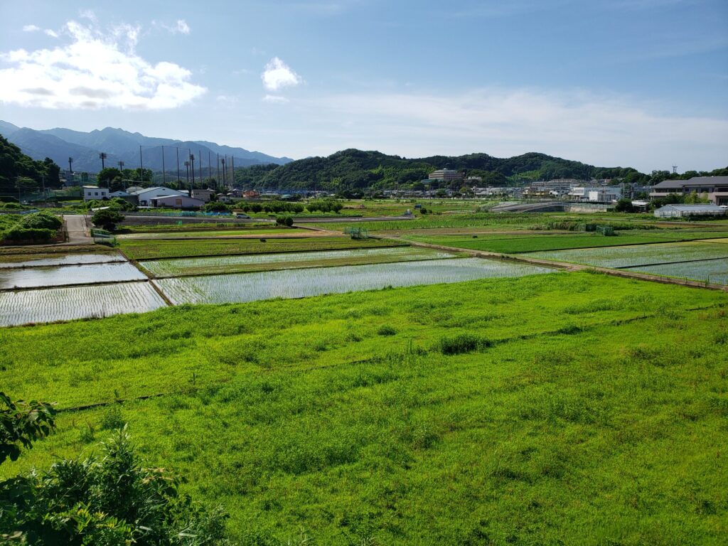 自然の景色①