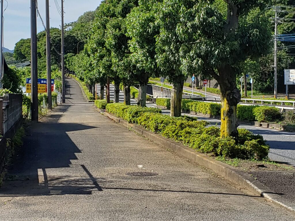 カーブ先の登坂