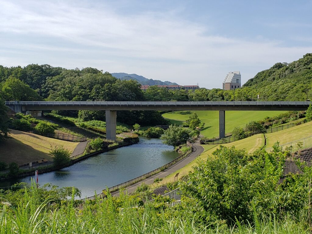 自然の景色③