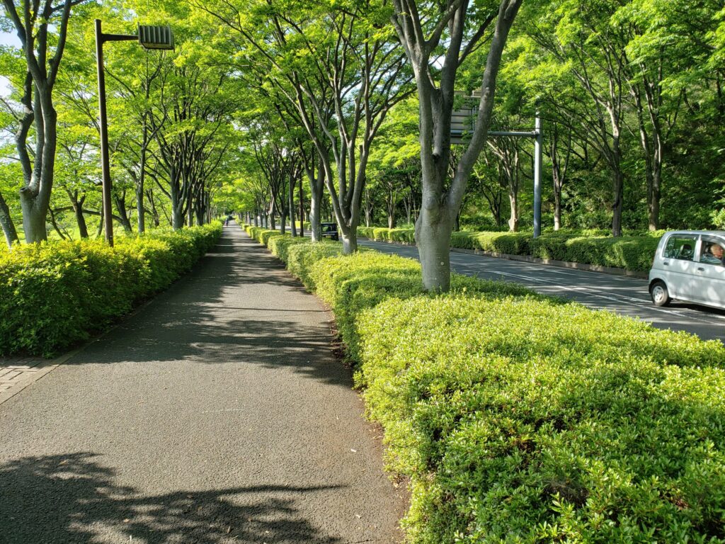交差点先の通り