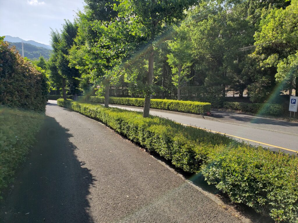 高校前の道