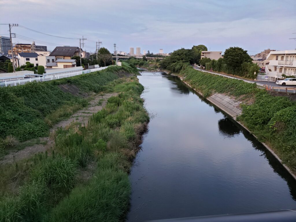 橋の下を流れる川