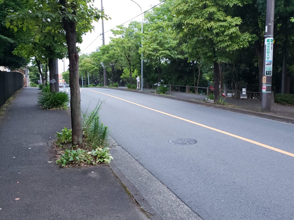 高校前の道