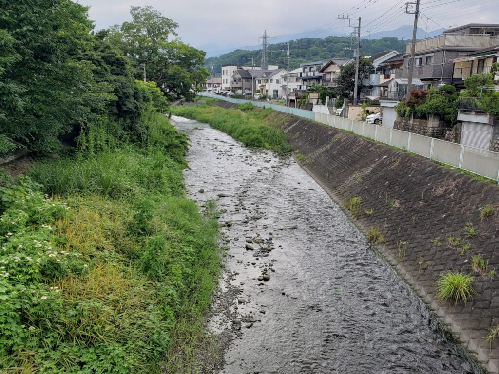 金目川