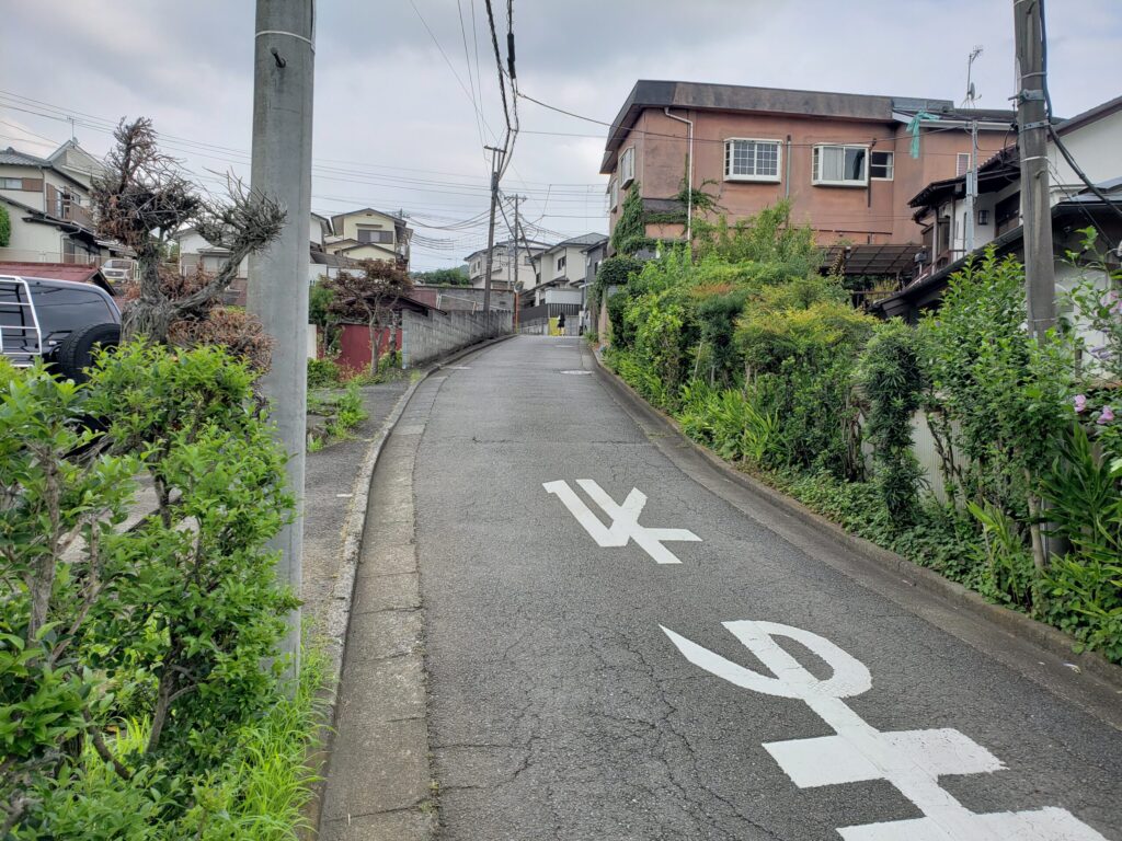 分かれ道の登坂