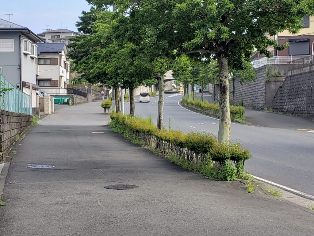 橋の先の登坂