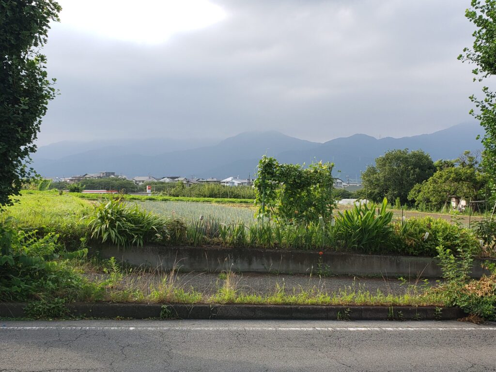 南が丘からの景色