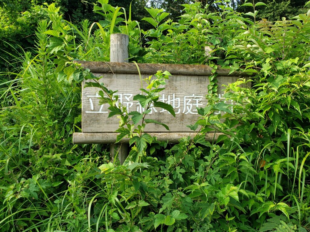 立野緑地庭球場