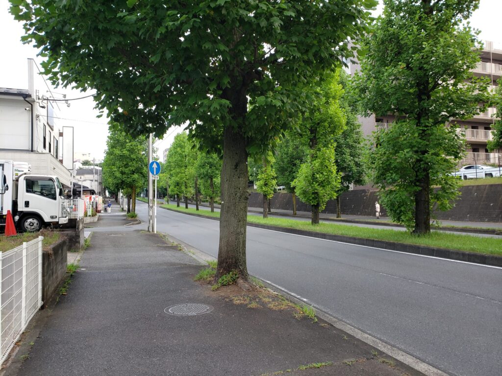 交差点先の道