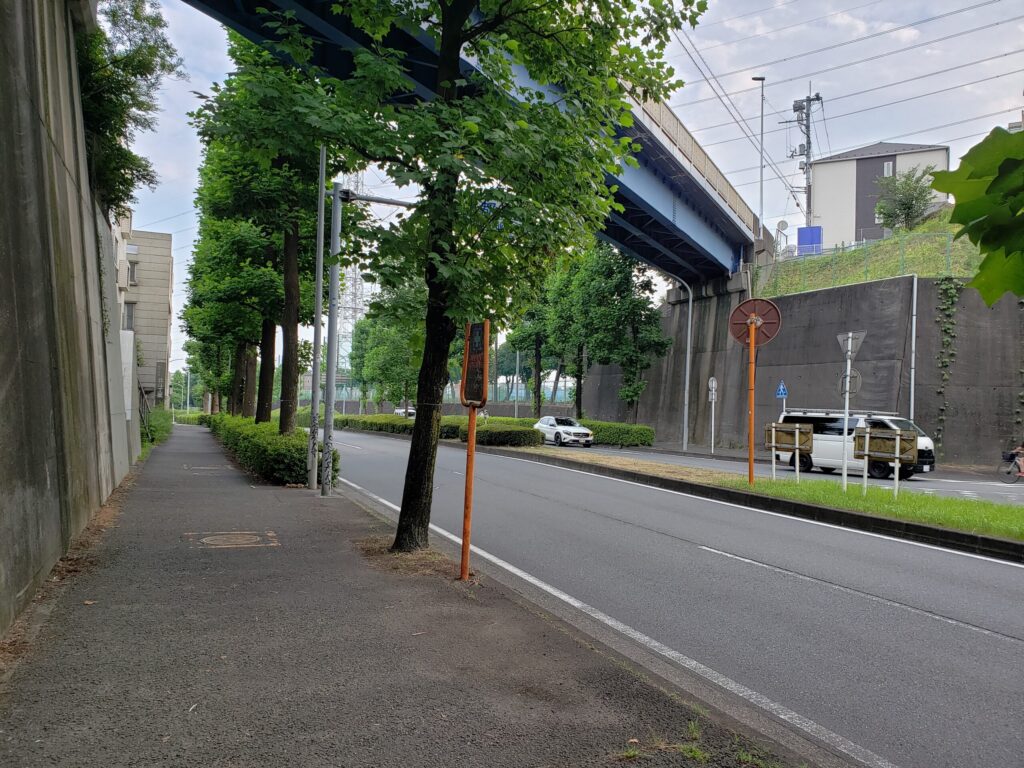 大きな歩道橋