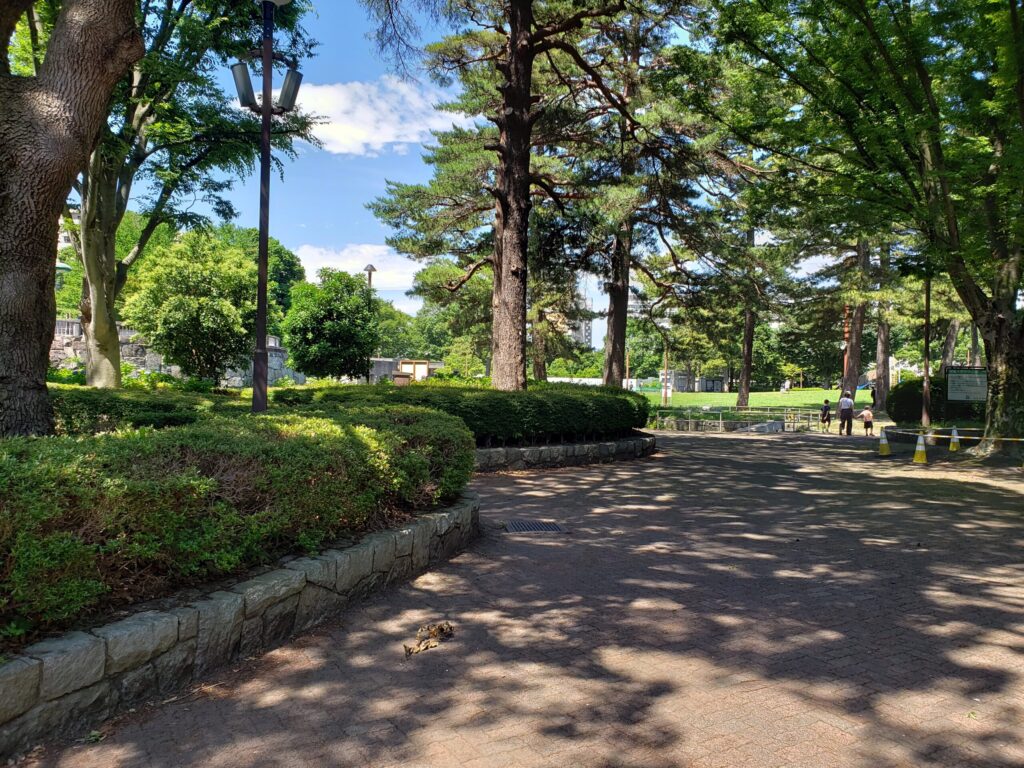 相模大野中央公園