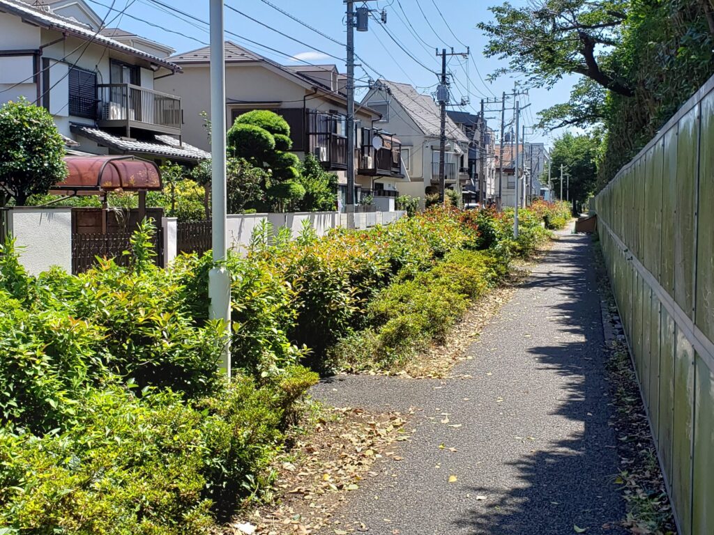 校舎裏の通り