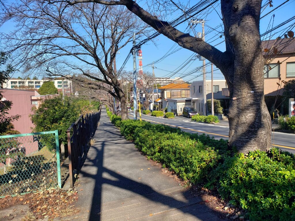 つゆきの森住宅の下り坂