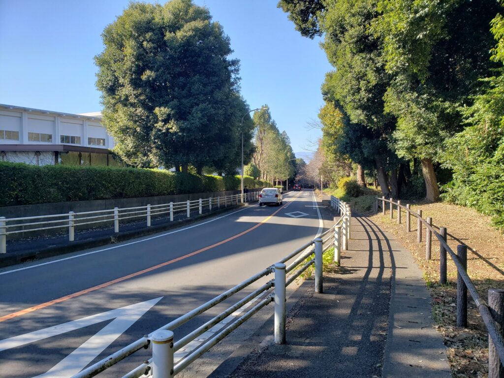 高校周辺の通り