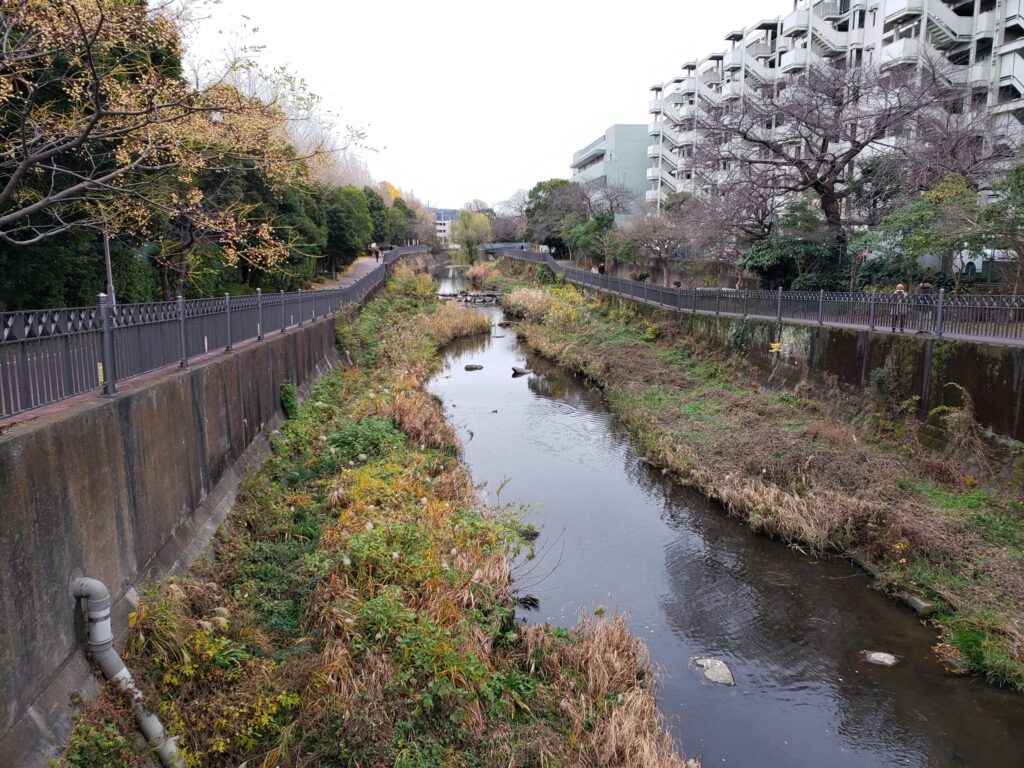 高校近くの川②
